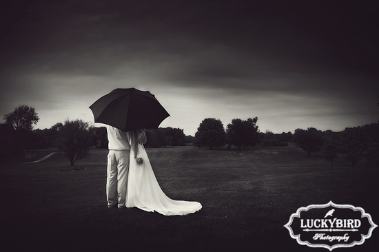 photo of Luckybird Photography