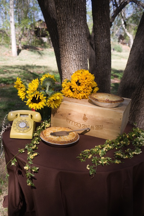 photo of Melissa Dunstan Photography