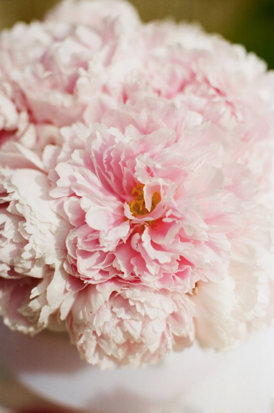 photo of Summer Peony Wedding Inspiration