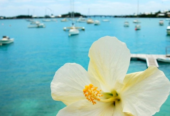 photo of Planning Your Dream Honeymoon to Bermuda