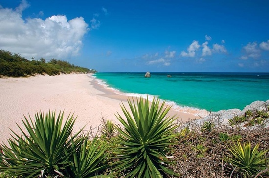 photo of Bermuda honeymoon planning 3