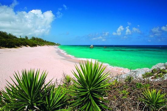 photo of Planning Your Dream Honeymoon to Bermuda