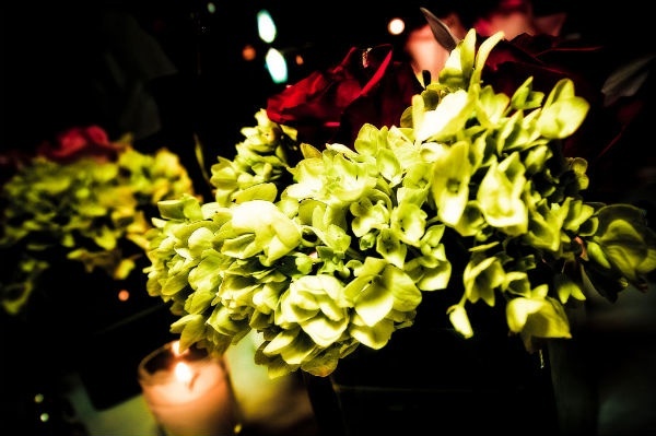 Tropical-wedding-flowers-reception-centerpieces.full