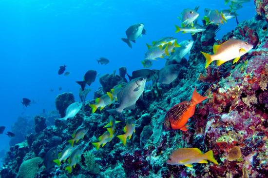 photo of Planning Your Dream Honeymoon to Bermuda