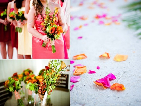 photo of Tropical Beach Wedding in Key Largo: Jess and Ryan