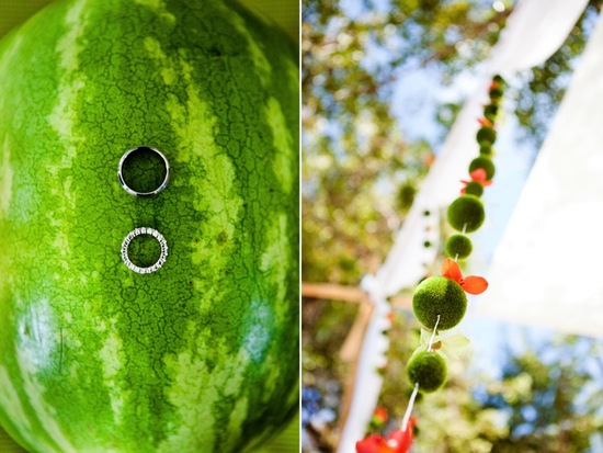 photo of Tropical Beach Wedding in Key Largo: Jess and Ryan