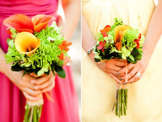 photo of Tropical Beach Wedding in Key Largo: Jess and Ryan