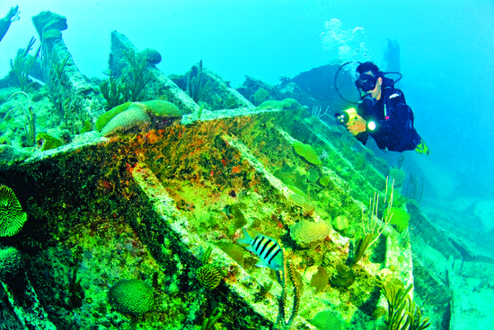 photo of The Perfect Bermuda Honeymoon—Guide to Adventure