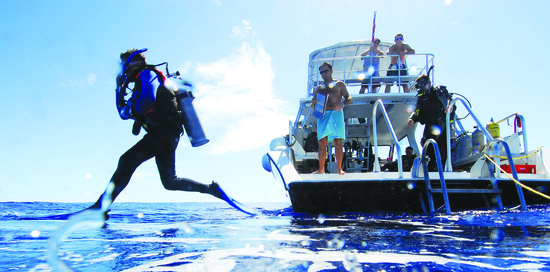 photo of The Perfect Bermuda Honeymoon—Guide to Adventure