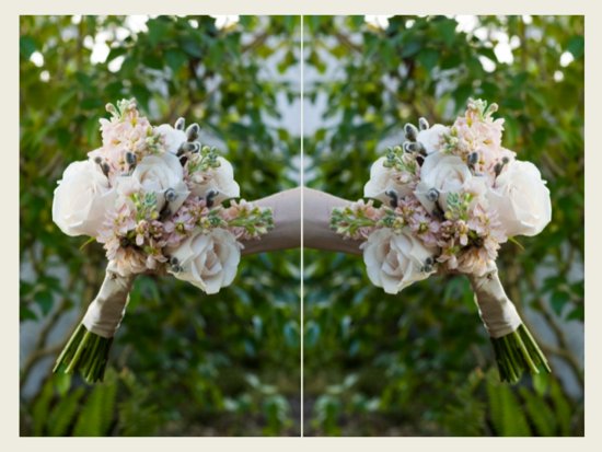 photo of Fifty Flowers