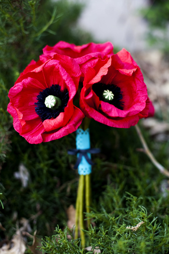 photo of Wedzu