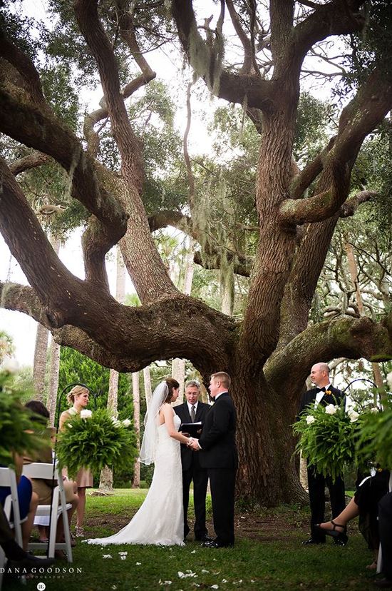 photo of My Custom Wedding Ceremony