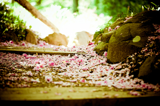 photo of Michelle Jonne Photography