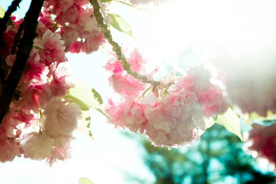 photo of Michelle Jonne Photography