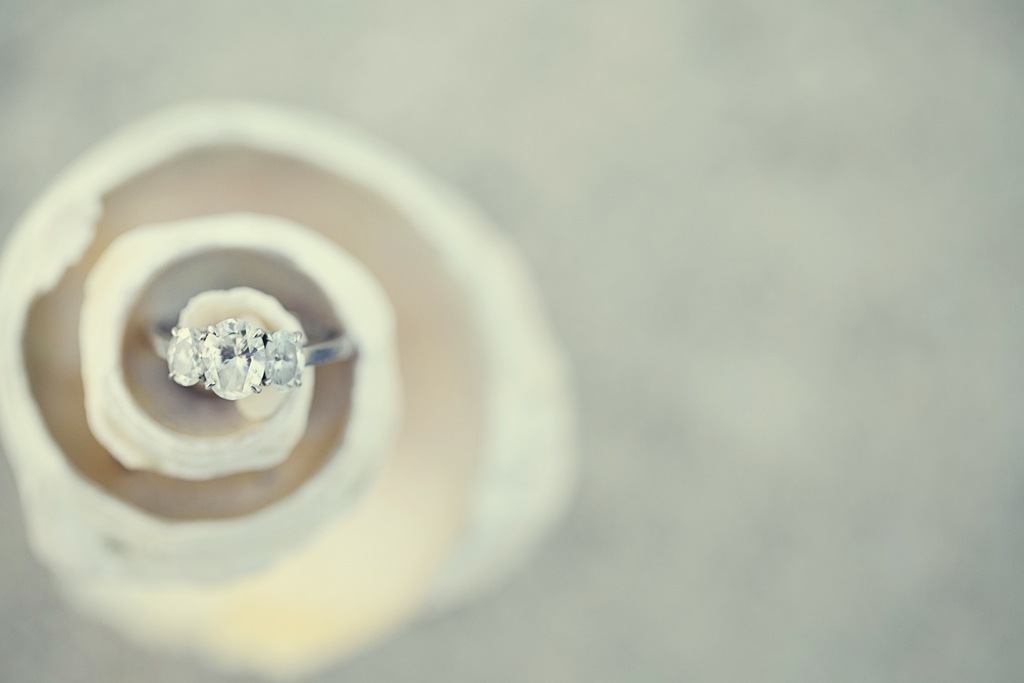 Ring_in_a_shell_on_the_beach.full