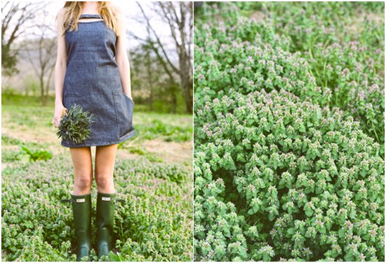 photo of A Denim Wedding: Summer Wedding Inspiration