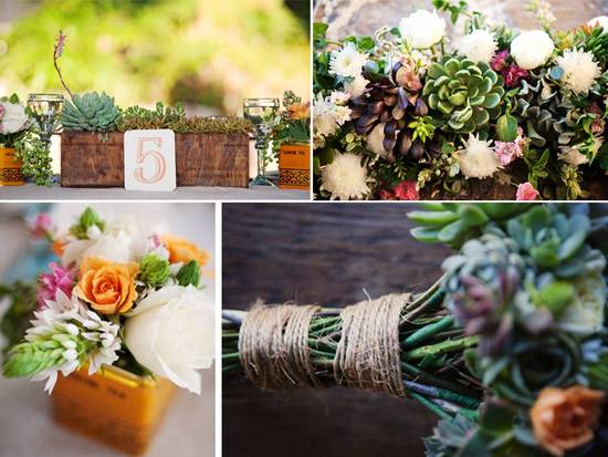 photo of Stephanie Williams Photography