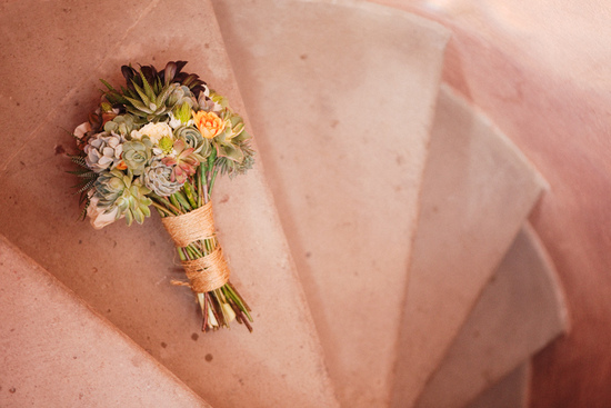 photo of Stephanie Williams Photography
