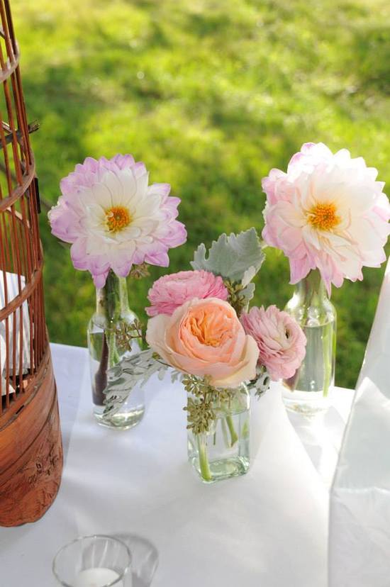 photo of Blossoms