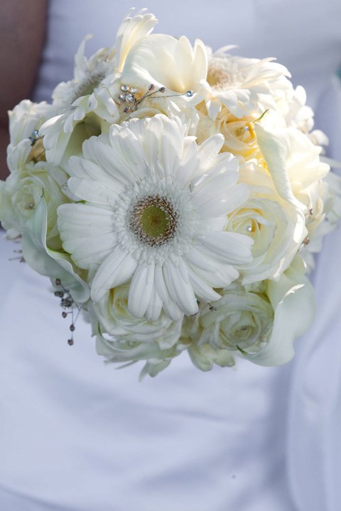 photo of Blossoms