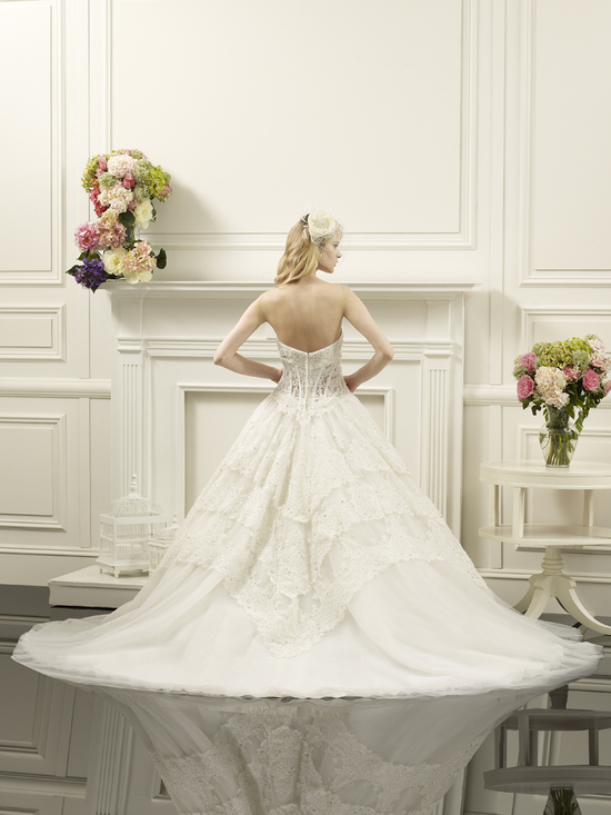 photo of Layered ball gown from Val Stefani