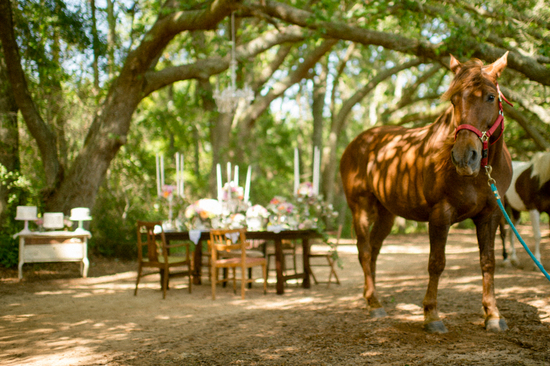 photo of Rustic Woodland Meets Vintage Elegance