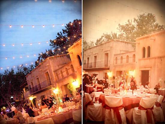 photo of Photography by Verdi