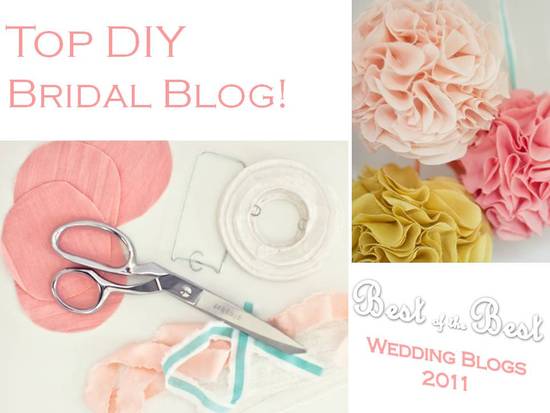 photo of Best DIY Bridal Blog for 2011: Cast Your Vote!