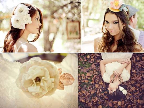 photo of Mignonne