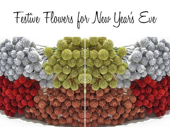 photo of Fifty Flowers