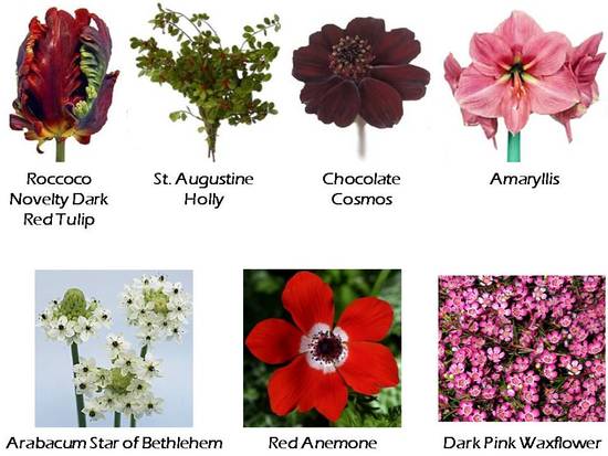 photo of Fifty Flowers