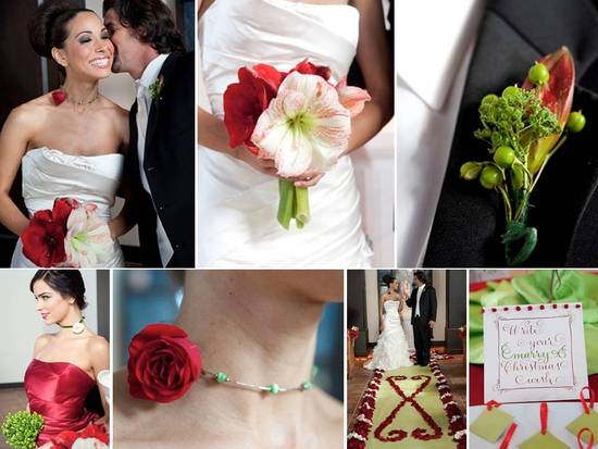 photo of Fifty Flowers