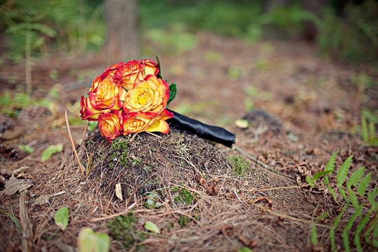 photo of Vineyard Wedding in New Hampshire: Mike & Engrid