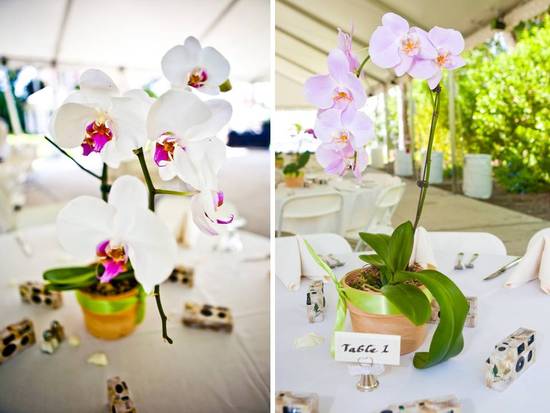 photo of Real Wedding Inspiration from Fort Meyers, Florida: Rachel and Frank