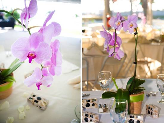 photo of Real Wedding Inspiration from Fort Meyers, Florida: Rachel and Frank