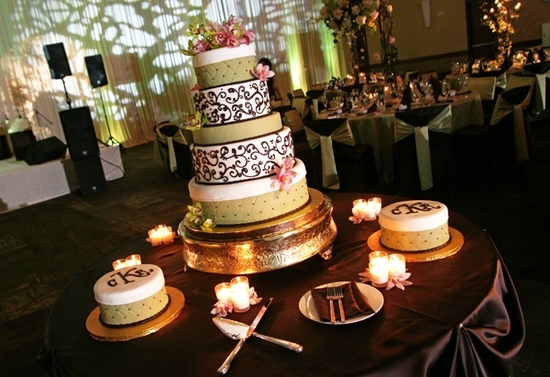 photo of Bella Pictures