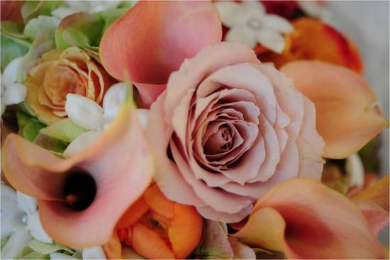 photo of Whitmeyer Photography