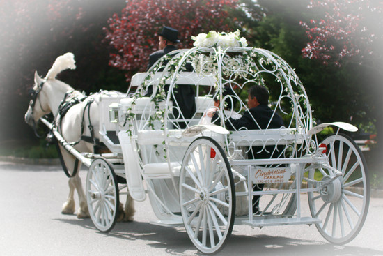 photo of Cinderella Horse and Carriage for Weddings