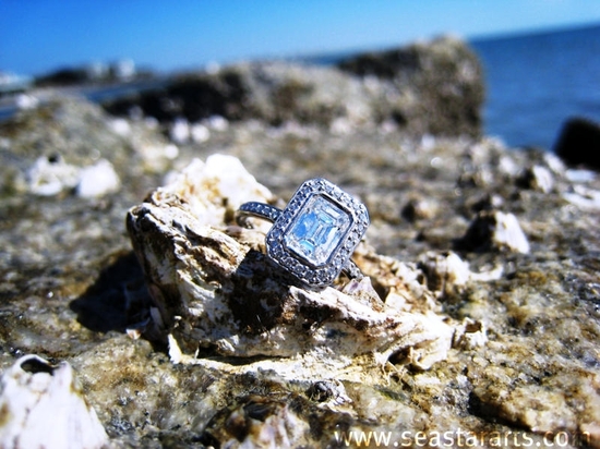 photo of Sea Star Arts - Sparkling Wedding Photography