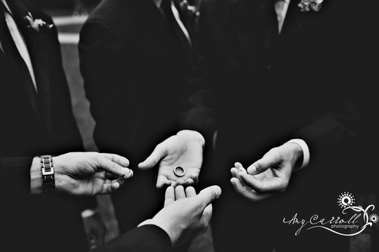 photo of Amy Carroll Photography, LLC