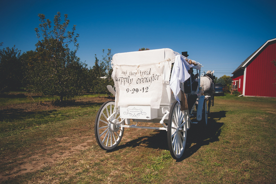 Horse and Carriage Getaway Cart
