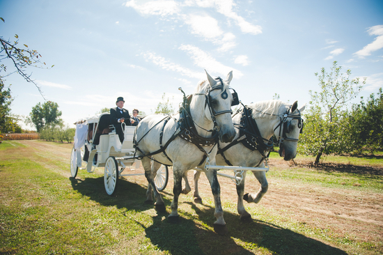 photo of Outdoor Orchard Wedding with Amazing DIY Details