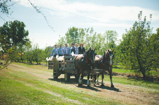 photo of Outdoor Orchard Wedding with Amazing DIY Details