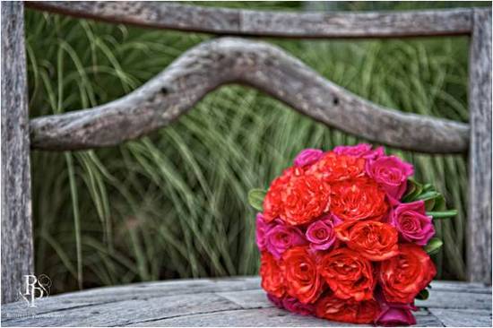photo of Rothwell Photography