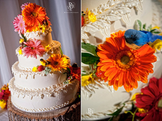 photo of Rothwell Photography