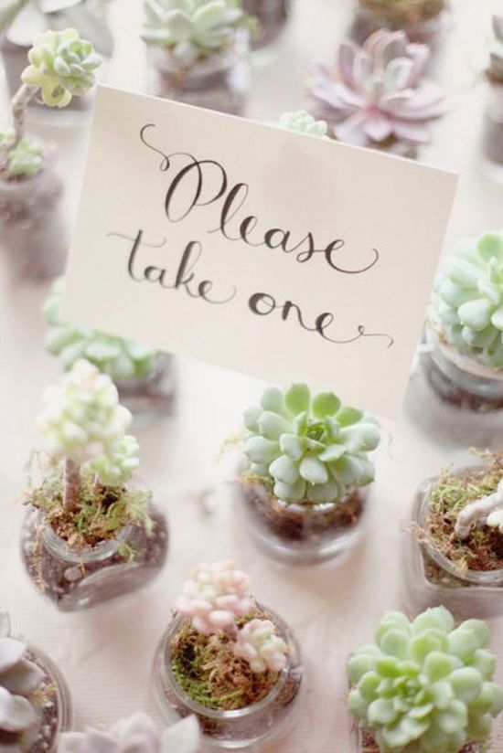 photo of Fabulous Favors that Your Guests will Adore!