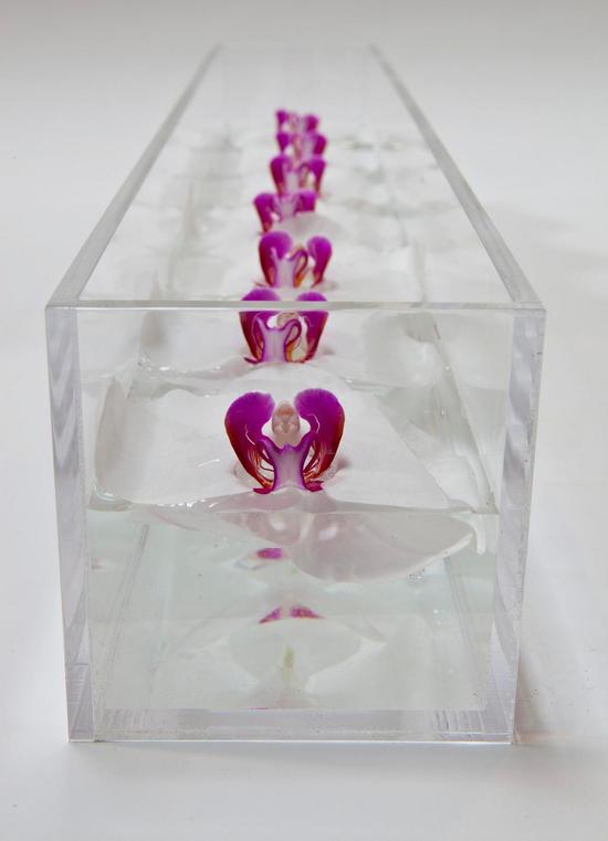 photo of Bring On-Trend Translucent Elegance To Your Wedding Reception Decor!
