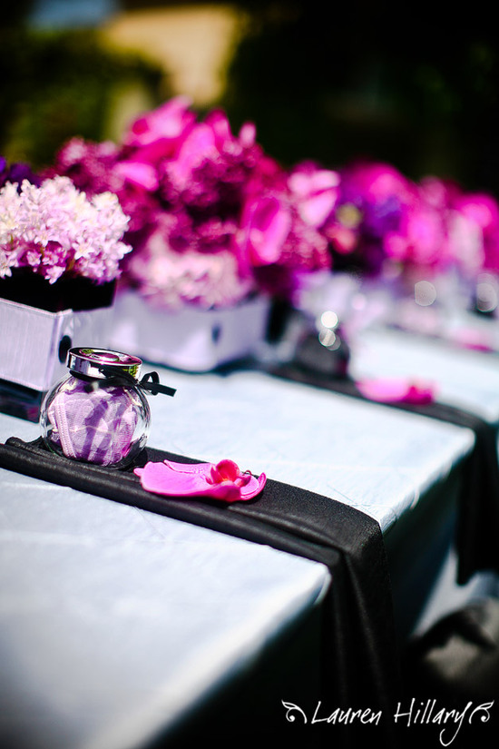 photo of Lauren Hillary Photography