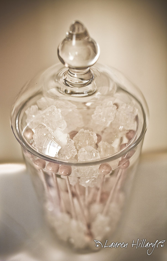 photo of Lauren Hillary Photography