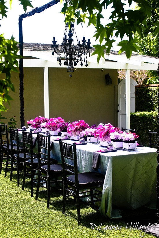 photo of Lauren Hillary Photography